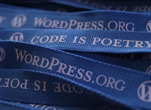 5 Tips for Choosing the Right WordPress Theme for Your Business