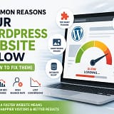 Comman reason to slow wordpress website