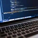 dedicated wordpress expert importance