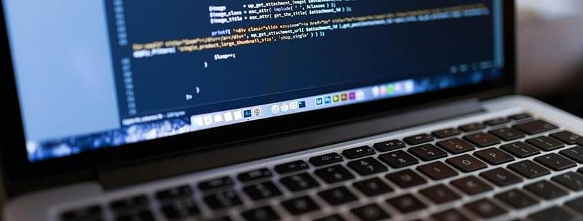 dedicated wordpress expert importance