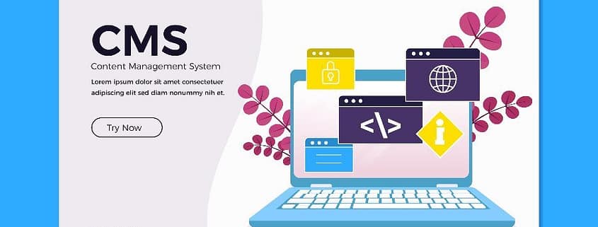 Wordpress developer Phoenix Az