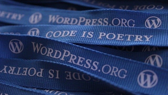 5 Tips for Choosing the Right WordPress Theme for Your Business