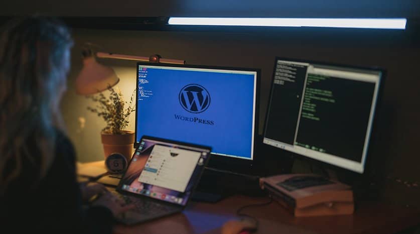 Best WordPress Developer Come2theweb